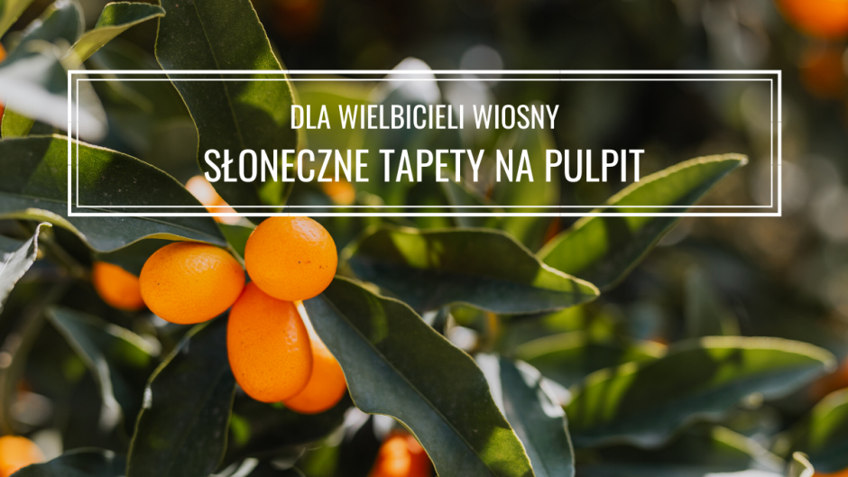 Wiosna: tapety na pulpit