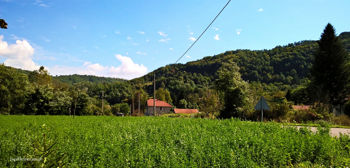 Co zobaczyć w Serbii: domek na Drinie