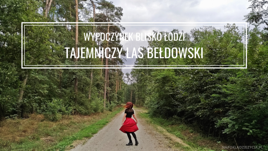 las Bełdowski: miejsce na wypoczynek i złapanie oddechu blisko Łodzi