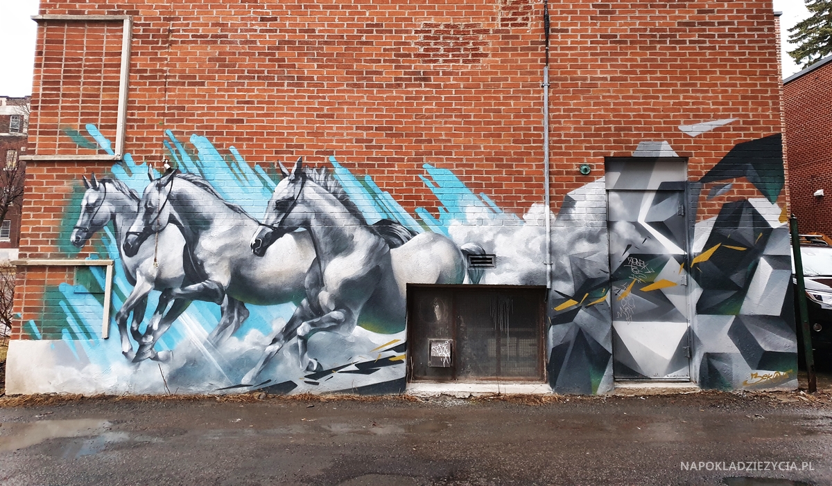 Sztuka uliczna w Montrealu